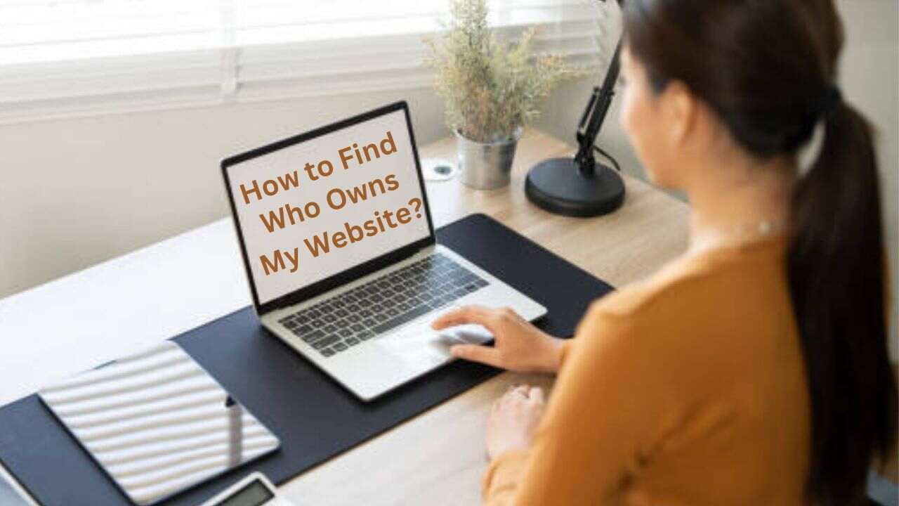 How To Find Who Owns My Website