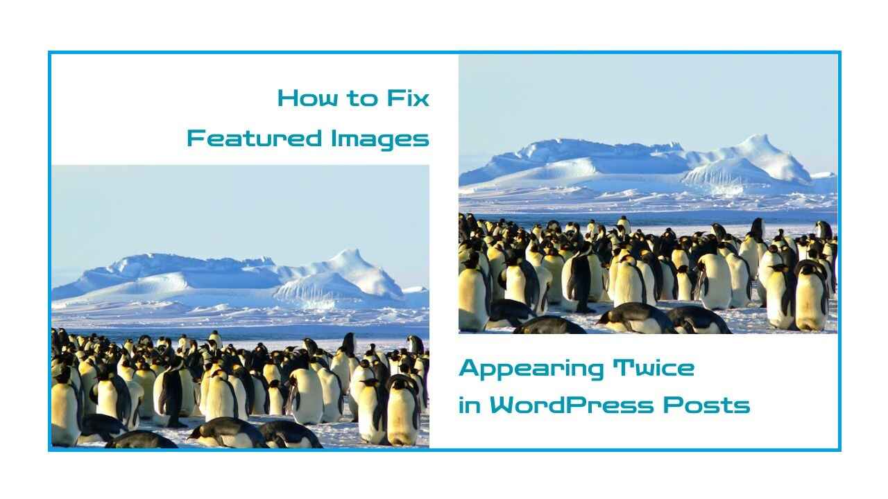 How to Fix Featured Images Appearing Twice in WordPress Posts