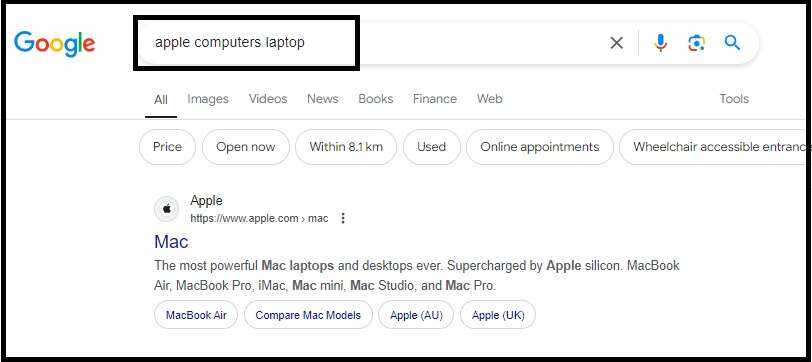 The Role of Paid Results in a SERP